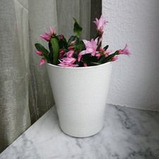 Orchideenvase Orchideentopf