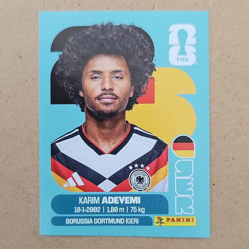 Panini fifa world cup - world,