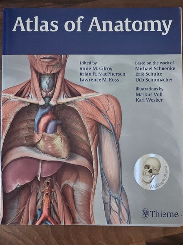 Atlas anatomy von - of, gilroy