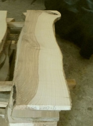 Olivesche holz esche bohlen - olivesche,