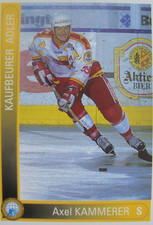 Axel Kammerer, Eishockey