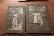 zwei tolle alte größere