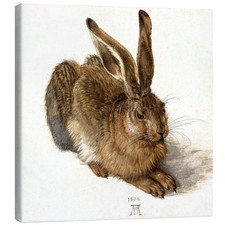 Leinwandbild hase albrecht - hase,