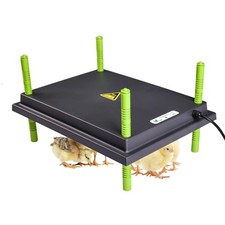 Küken Wärmelampe Heizplatte