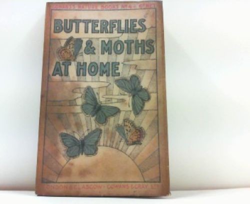 Butterflies and moths home - moths,