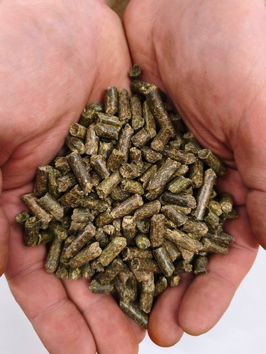 Grünmehlpellets 25kg