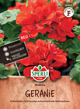 Geranie 'Madeira' -