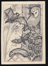 Originalzeichnung Wilhelm