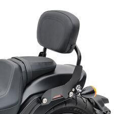 Sissy Bar für Harley Davidson