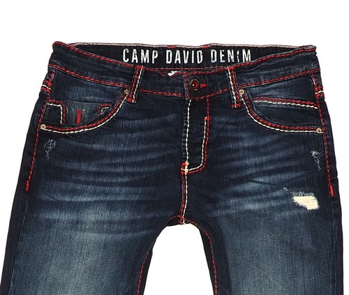 Original camp david robin - camp,