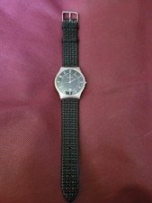 Skagen Designs Titanium
