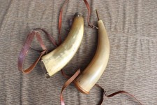 2x Horn Pulverflasche