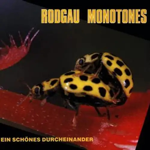 Rodgau monotones ein - monotones,