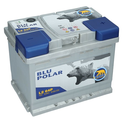 Bären blu polar - bären,