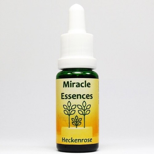 Heckenrose miracle essences - heckenrose,