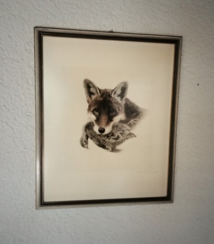 Tierportrait fuchs mit rebhuhn - tierportrait,