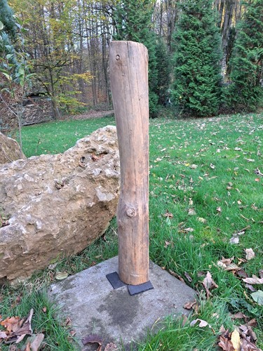 Altholz 250 jahre - altholz,