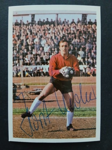 Horst wolter eintracht - horst,