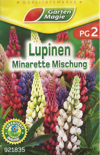 Lupine lupinien minarette - lupine,,