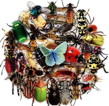 Stickerbomb 50 Set Spinne