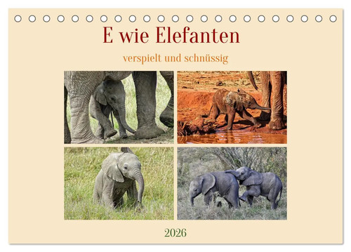 Wie elefanten verspielt - -,