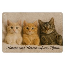Katzen Spruch niedlich