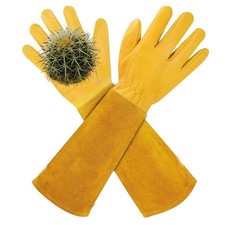 Leder Stulpenhandschuhe bieten