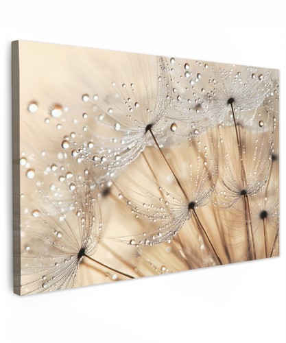Canvas leinwand bilder - leinwand,