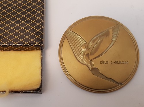 Segelflug weltmeisterschaft - segelflug,