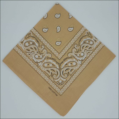 Modelle bandana paisley - modelle,