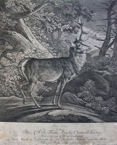 Johann elias ridinger - johann,
