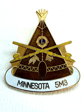 Lions Club International Pin