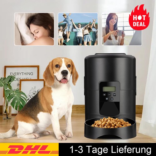 Hund katze futterautomat - hund,