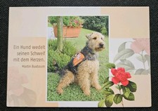 Tierpostkarte, AK Hund