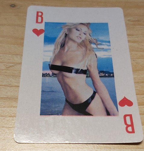Spiele karte skat - spiele,
