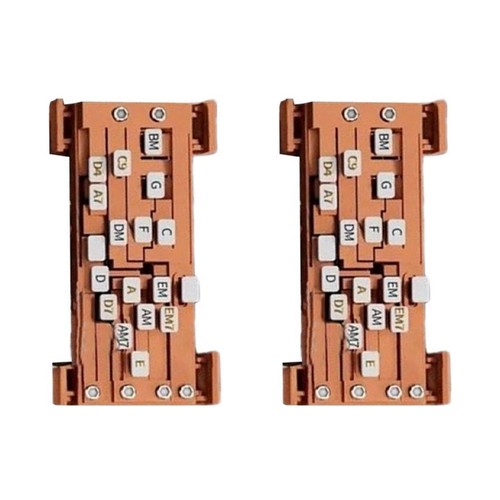 Braune - 1x(2,