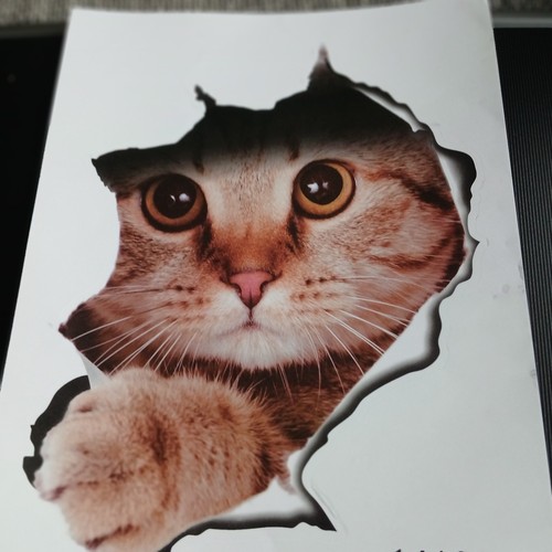 Auto katze aufkleber - katze,