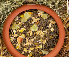 deuka deukanin Nagermüsli 10kg Kaninchenfutter Meerschweinchen Hamster Vitamin C