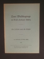 Zwei Waldbegänge im Gräfl