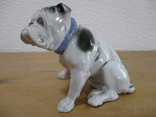 Bulldogge grosse