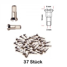 37 Stück Speichen Nippel Fahrrad Felge Laufrad ROSTFREI 2,0 mm x 16mm MESSING