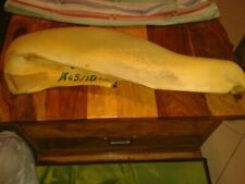 Corrado 16V- G60 Bei-fahrersitz Recaro Schaumstoff Wange