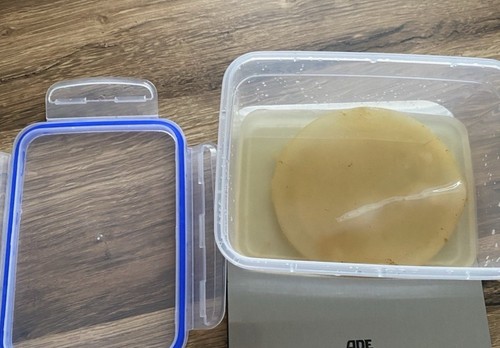 Kombucha scoby gesund - -,