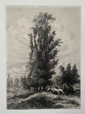 Kühe in einer Landschaft