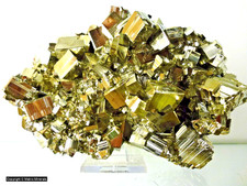 Große Stufe Pyrit Würfel