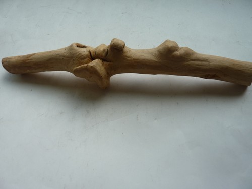 Alter weinstock treibholz - weinstock,