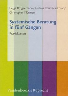 Systemische beratung fünf - in,