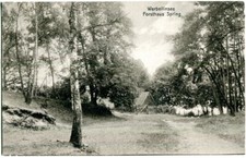 AK SCHORFHEIDE, Forsthaus