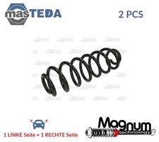 SW118MT SCHRAUBENFEDER