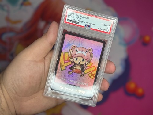 One piece kumamoto - one, special